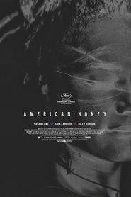 Imagen de American Honey