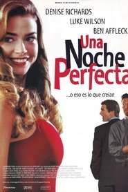 Imagen de Una noche perfecta