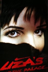 Liza Minnelli: Liza's at The Palace