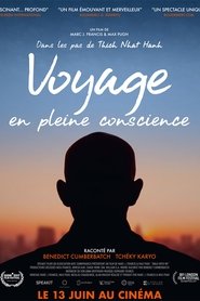 Film Voyage en pleine conscience streaming VF complet