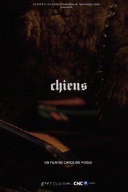Film Chiens streaming VF complet