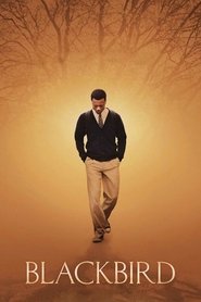 Imagen de Blackbird