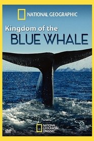 Kingdom of the Blue Whale