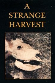 Film A Strange Harvest streaming VF complet