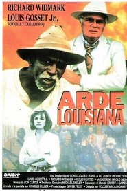 Imagen de Viejos recuerdos de Luisiana