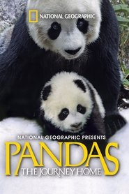 Imagen de Pandas: The Journey Home