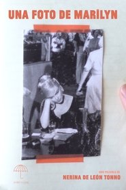 Poster of undefined