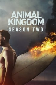 Animal Kingdom streaming sur filmcomplet