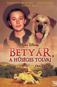 Betyár, a hűséges tolvaj