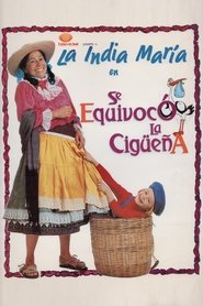 Imagen de Se equivocó la cigüeña