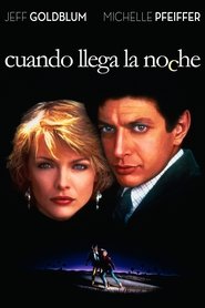 Imagen de Cuando llega la noche