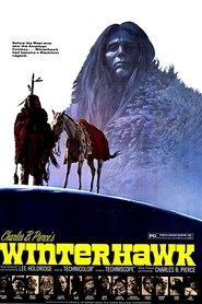 Film Winterhawk streaming VF complet