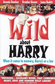 Film Wild About Harry streaming VF complet
