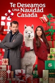 Imagen de Te deseamos una Navidad casada