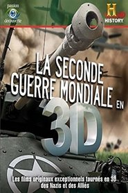 La Seconde Guerre Mondiale en 3D