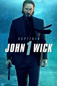 John Wick (Otro día para matar)