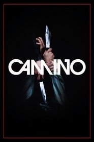 Poster of undefined