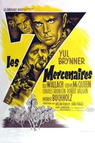 Film Les Sept Mercenaires streaming VF complet