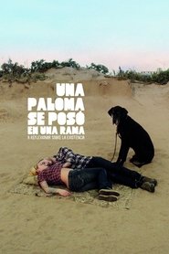 Imagen de Una paloma se posó en una rama a reflexionar sobre la existencia