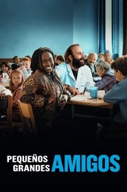 Imagen de Pequeños grandes amigos