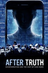 After Truth: Disinformation and the Cost of Fake News