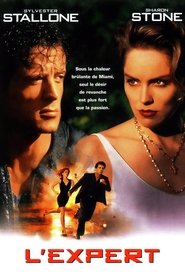 Film L'Expert streaming VF complet