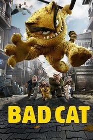 Bad Cat 2019
