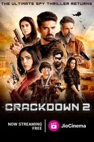 Poster of Crackdown