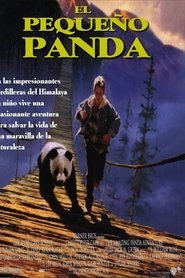 Imagen de El pequeño panda