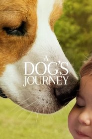 Poster for A Dog's Journey (2019)