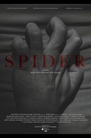 Imagen de Spider