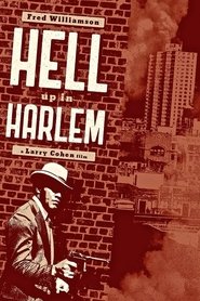 Film Hell Up In Harlem streaming VF complet