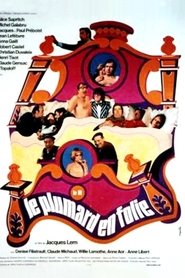Film Le Plumard en Folie streaming VF complet