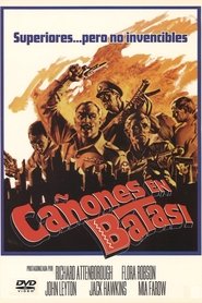 Imagen de Cañones en Batasi