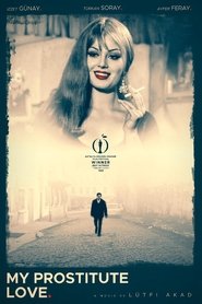 Film Vesikalı Yarim streaming VF complet
