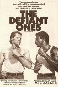 Poster of undefined