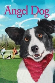 Film Angel Dog streaming VF complet