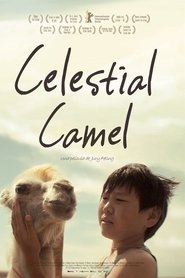 Celestial Camel