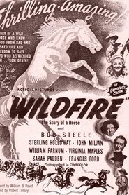Wildfire