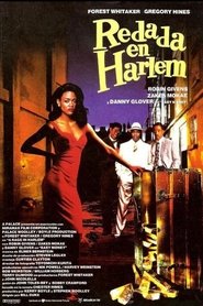Imagen de Redada en Harlem
