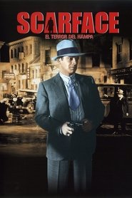 Imagen de Scarface, el terror del Hampa