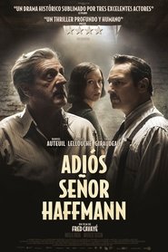 Imagen de Adiós, señor Haffmann