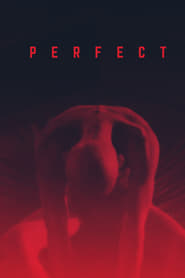 Poster for Perfect (2019)