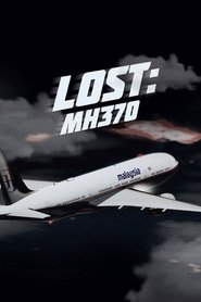 Imagen de Lost: MH 370