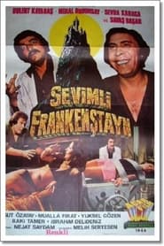 Film Sevimli Frankestayn streaming VF complet