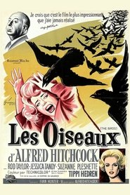 Film Les Oiseaux streaming VF complet