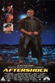 Film Aftershock streaming VF complet
