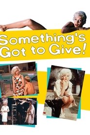 Film Something's Got to Give streaming VF complet