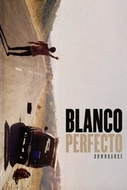 Imagen de Blanco perfecto (Downrange)