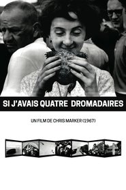 Film Si j'avais quatre dromadaires streaming VF complet